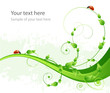 Ecology pattern abstract background with leafs and ladybird