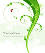 Ecology pattern abstract background with leafs and ladybird