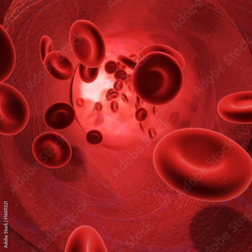 Illustration: Blood flowing through an artery (Red Globules) Blood flowing through an artery (Red Globules)