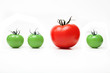 Konzept Evolution, Innovation