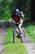 mountain bike