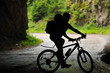 mountain bike