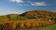 Automne en Vallée du Lot, Périgord