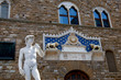 Il Davide di Michelangelo a Firenze