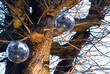 La foret enchantee altkirch La foret enchantee altkirch