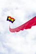 Kite