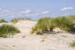 Sanddünen Sanddünen