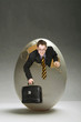 The beginning businessman tries to leave big eggs.