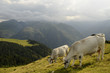 en montagne