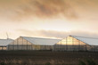 greenhouse sunrise