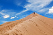 rubjerg knude dune denmark