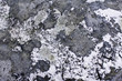 Stone surface