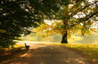 Bank im Park