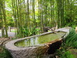 japanese garden at san francisco