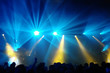 Cheering crowd at concert Cheering crowd at concert