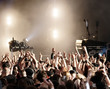 Cheering crowd at concert