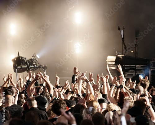 cheering crowd silhouette. Cheering crowd at concert