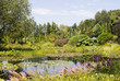 Beautiful garden