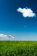 Photo: windsock on green filed windsock on green filed