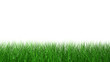 Gras