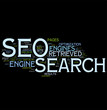 Search engine optimization (SEO)