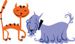 cat end dog