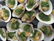 palourdes farcies palourdes farcies