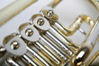 tuba im detail