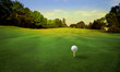 Photo: golf golf