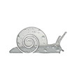 escargot pluie