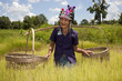 alte asiatische Frau, Akha alte asiatische Frau, Akha