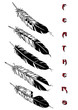 vector illustration tattoo design set (feathers) vector illustration tattoo design set (feathers)