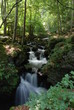 cascade de torrent