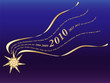 Neujahr 2010 international  (Vektor)