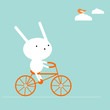 Bunny on a bike