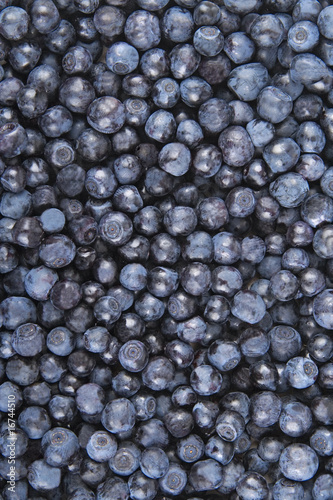 Photo: Bilberries Bilberries