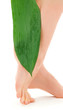 female legs with green leaf