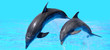 Delfin