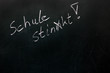 Schule stinkt