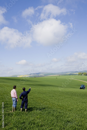 Photo : Farmers in young wheat field pointing to fertilizing tractor in distance Farmers in young wheat field pointing to fertilizing tractor in distance
