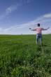 Farmer standing with arms outstretched in young wheat field