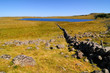 muret de pierre en aubrac
