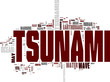 Tsunami word cloud