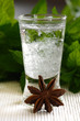 Bulgarian Mastika
