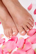 Spa and wellness theme with beautiful and neat feet Spa and wellness theme with beautiful and neat feet