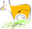 Orange cow