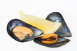 two mussels with lemon two mussels with lemon
