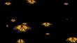 motyle