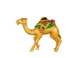 Camel souvenir isolated on white
