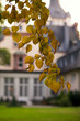 es wird herbst